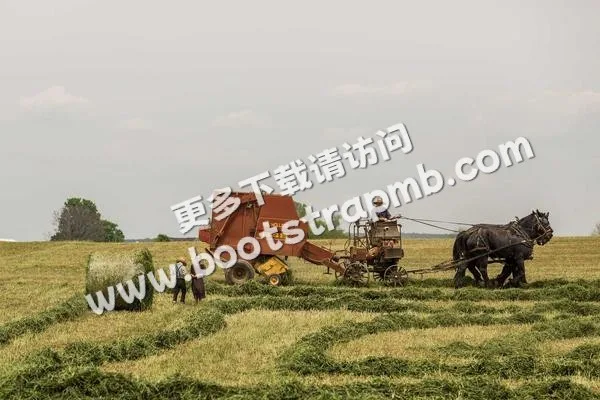 ⊞ Portfolio - 爱游戏体育APP